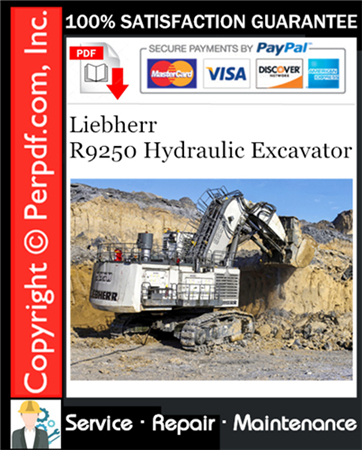 Liebherr R9250 Hydraulic Excavator Service Repair Manual